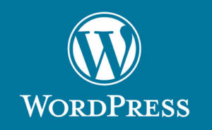 Blog 25 Limitaciones Diseño Web WaordPress